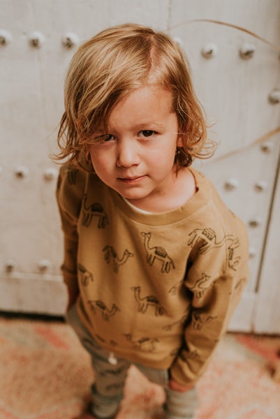 Sproet & Sprout    Sweatshirt Print Camel Desert